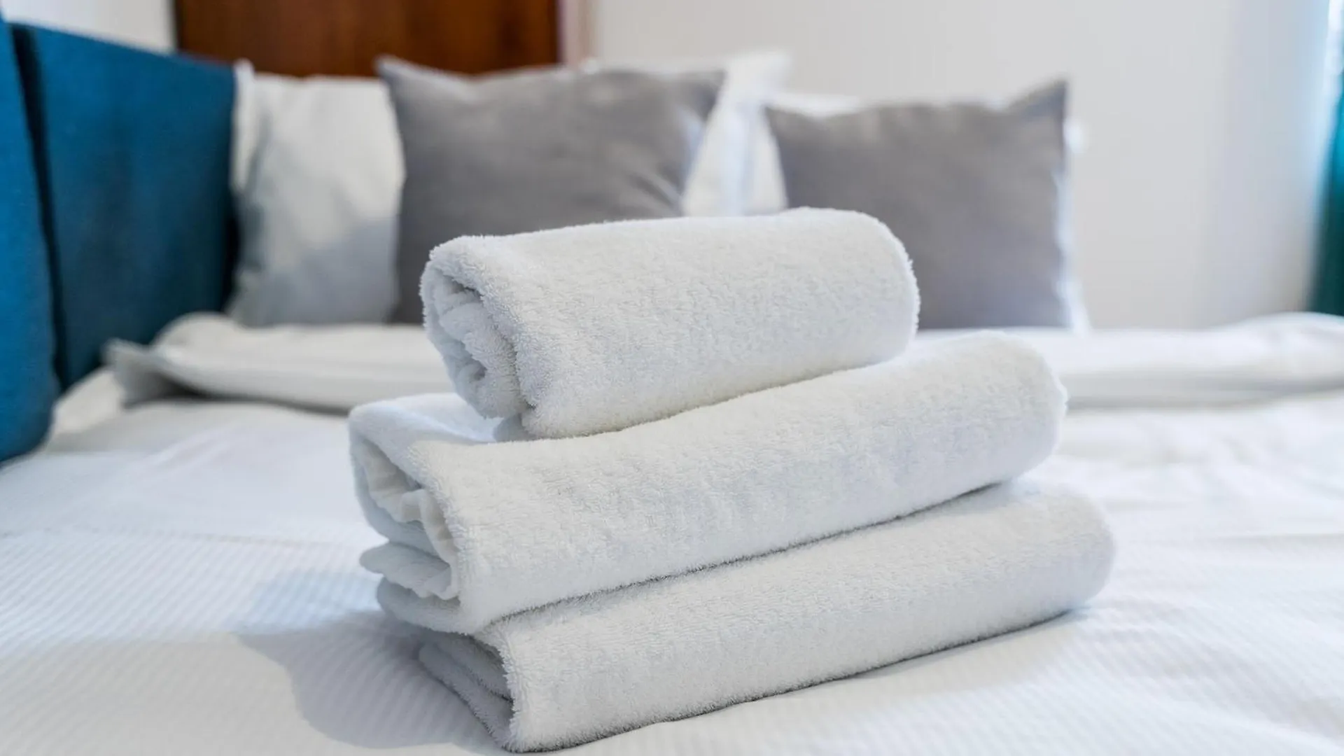 Park Wilsona Comfy Apartment Poznan